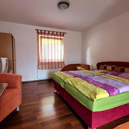 Guest house Apartmanovy Dom Red *
